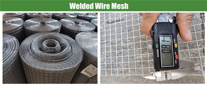 Welded Wire Mesh 900