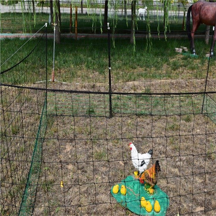 Buy Poultry Netting Here