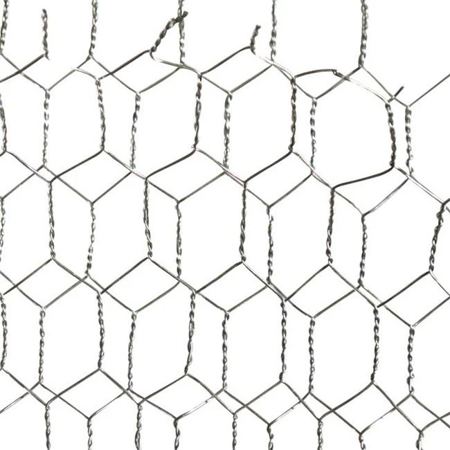 Wire Mesh Woven Wire Mesh