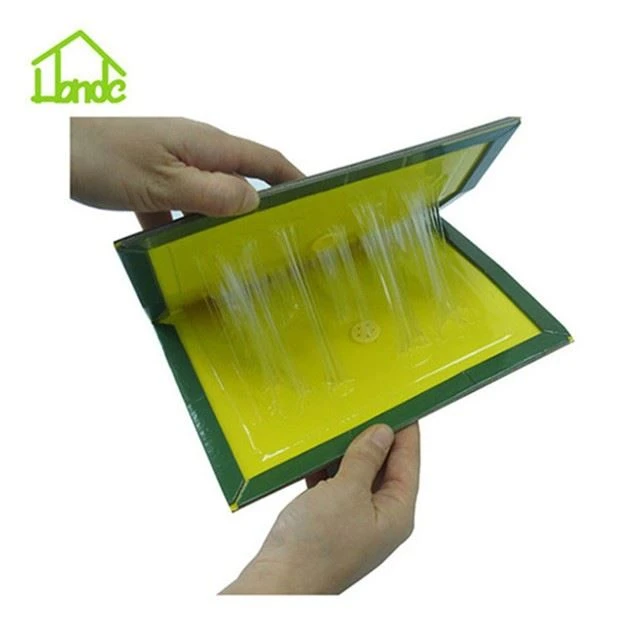 Folded Paper Board Glue Trap