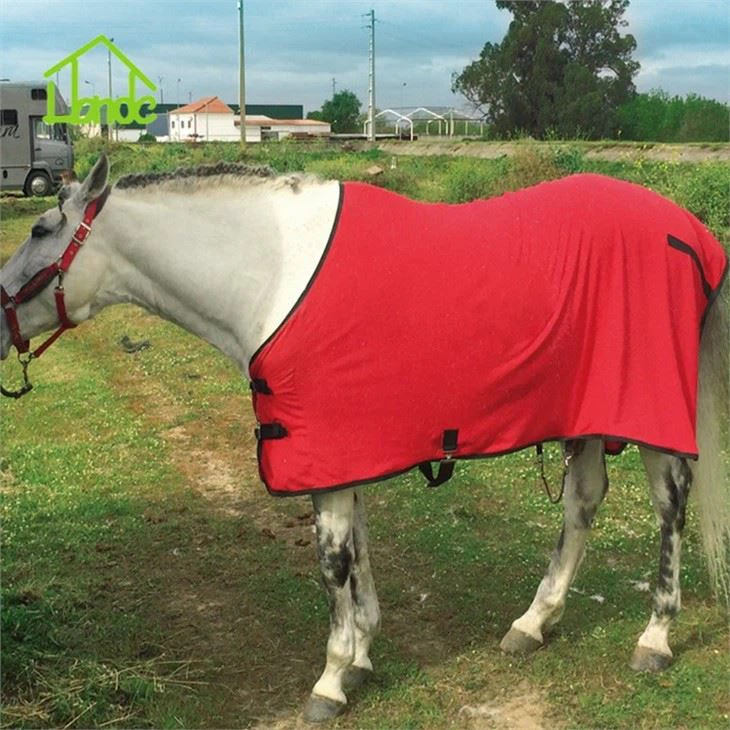 Comfortable Horse Rug Equestrian Product